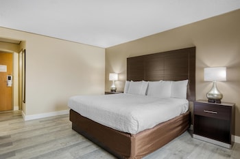 Standard Room, 1 King Bed, Non Smoking