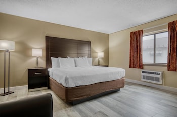 Standard Room, 1 King Bed, Non Smoking (Larger Room;with Sofabed)