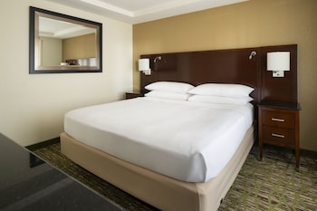 Room, 1 King Bed