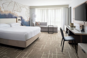 Room, 1 King Bed, Larger