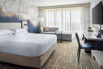 Room, 1 King Bed