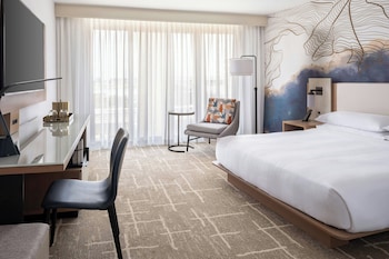 Room, 1 King Bed