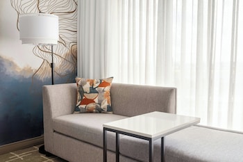 Room, 1 King Bed, Larger