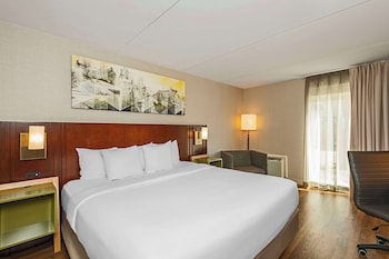 Room, 1 King Bed with Sofa bed, Non Smoking , Ground Floor, No Pets