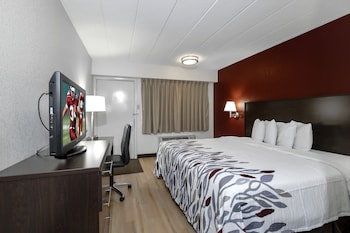 Standard Room, 1 King Bed, Non Smoking