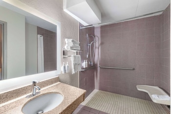 Standard Room, 1 King Bed, Accessible