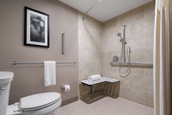 Room, 1 King Bed, Accessible (Roll-In Shower)