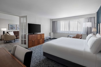 Suite, 1 King Bed with Sofa bed