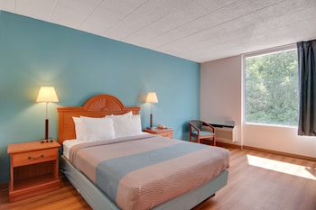 Deluxe Room, 1 Queen Bed, Smoking, Refrigerator & Microwave