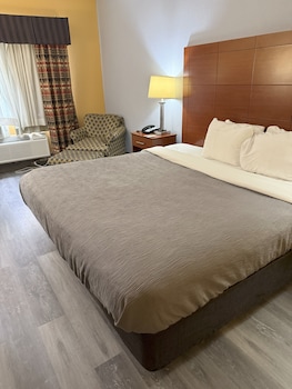 Room, 1 King Bed, Non Smoking