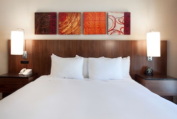 Room, 1 King Bed