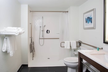 Room, 1 King Bed with Sofa bed (Mobility/Hearing Access, Roll-In Shwr)