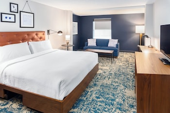 Room, 1 King Bed with Sofa bed (Mobility/Hearing Access, Roll-In Shwr)