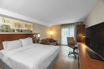 Standard Room, 1 King Bed with Sofa bed, Non Smoking
