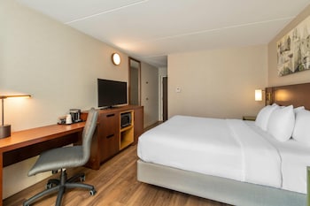 Standard Room, 1 King Bed with Sofa bed, Non Smoking