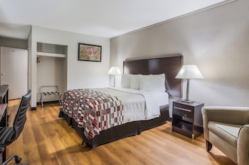 Deluxe Room, 1 Queen Bed, Accessible, Smoking