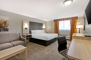 Standard Room, 1 King Bed, Non Smoking, Refrigerator & Microwave (with Sofabed)