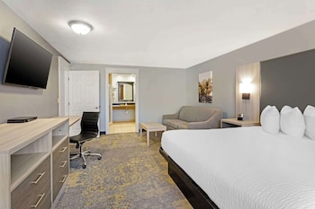 Standard Room, 1 King Bed, Non Smoking, Refrigerator & Microwave (with Sofabed)