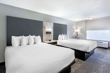 Standard Room, 2 Queen Beds, Accessible, Refrigerator & Microwave