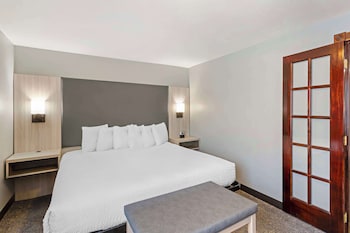 Suite, 1 King Bed, Non Smoking, Jetted Tub (with Sofabed)