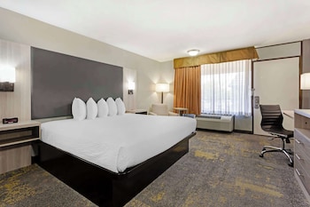 Standard Room, 1 King Bed, Non Smoking, Refrigerator & Microwave