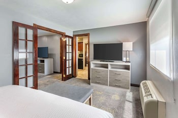 Suite, 1 King Bed, Non Smoking, Jetted Tub (with Sofabed)