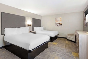 Standard Room, Multiple Beds, Non Smoking (1 king and 2 queen beds;with Sofabed)