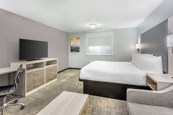 Junior Suite, 1 King Bed, Non Smoking, Refrigerator & Microwave (with Sofabed)