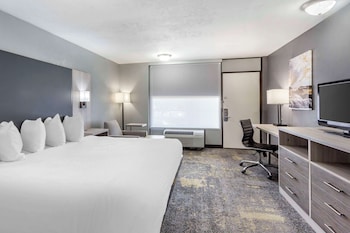 Standard Room, 1 King Bed, Non Smoking, Refrigerator & Microwave