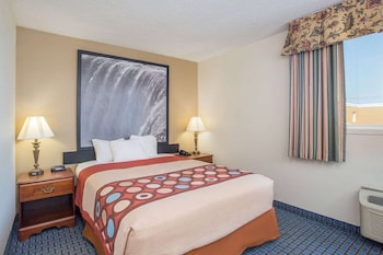 Standard Room, 1 Queen Bed, Non Smoking