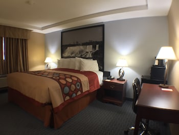 Standard Room, 1 King Bed, Smoking
