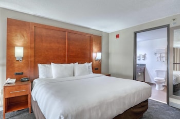 Suite, 1 King Bed with Sofa bed, Non Smoking