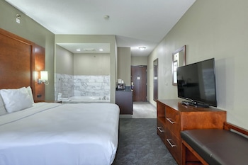 Suite, 1 King Bed with Sofa bed, Non Smoking