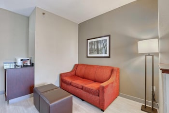 Suite, 1 King Bed with Sofa bed, Accessible, Non Smoking