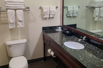 Suite, 1 King Bed with Sofa bed, Accessible, Non Smoking