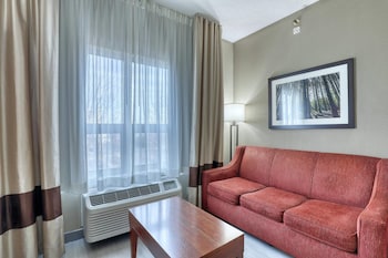 Suite, 1 King Bed with Sofa bed, Accessible, Non Smoking