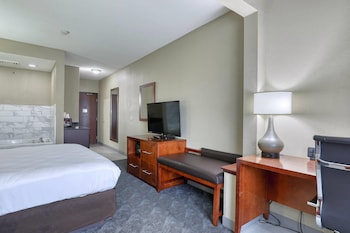 Suite, 1 King Bed with Sofa bed, Non Smoking
