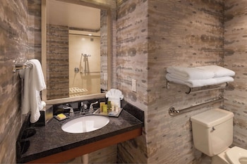 Room, 1 King Bed, Accessible, Non Smoking (Mobility & Hearing, Roll-in Shower)