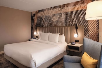 Room, 1 King Bed
