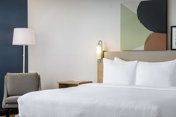 Room, 1 King Bed