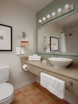 Room, 1 King Bed, Accessible (Shower)