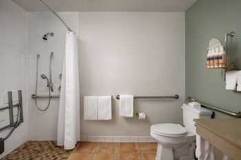 Room, 1 King Bed, Accessible (Shower)