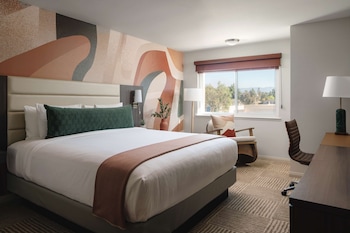 Room, 1 King Bed, Accessible (Shower)