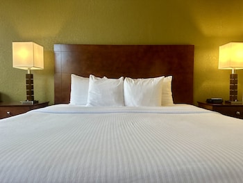 Standard Room, 1 King Bed, Non Smoking, Refrigerator & Microwave