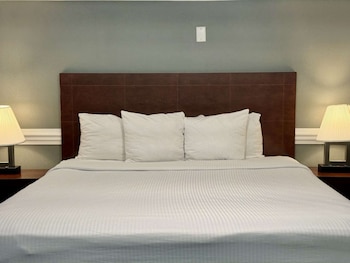 Standard Room, 1 King Bed, Non Smoking, Refrigerator & Microwave (Larger Room)
