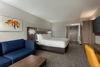 Standard Room, 1 King Bed with Sofa bed