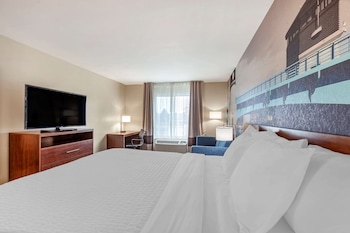 Standard Room, 1 King Bed with Sofa bed, Non Smoking