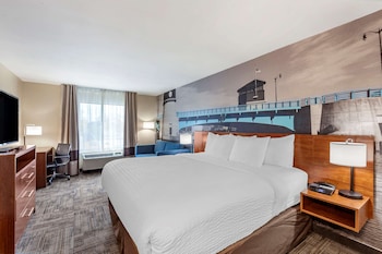 Standard Room, 1 King Bed with Sofa bed, Non Smoking