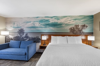 Standard Room, 1 King Bed with Sofa bed, Non Smoking