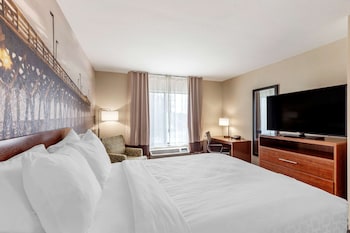 Standard Room, 1 King Bed, Non Smoking